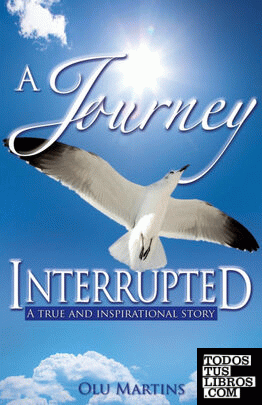 A Journey Interrupted