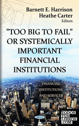 "Too Big to Fail" or Systemically Important Financial Institutions