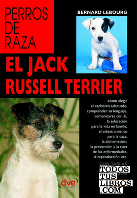 EL JACK RUSSELL TERRIER