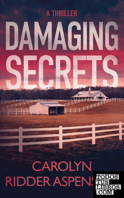 Damaging Secrets