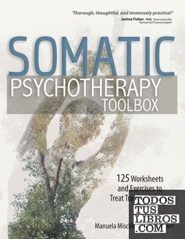 Somatic Psychotherapy Toolbox