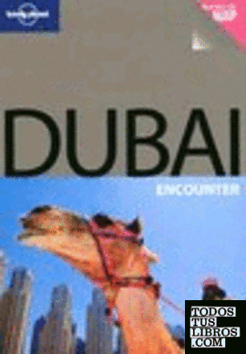 Dubai Encounter 2