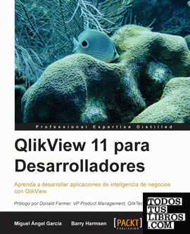 Qlikview 11 Para Desarrolladores