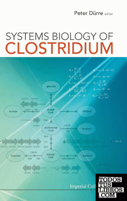 Systems Biology of Clostridium