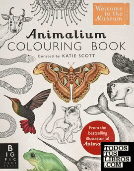 Animalium - Colouring book