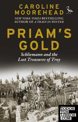 Priam's Gold : Schliemann and the Lost Treasures of Troy