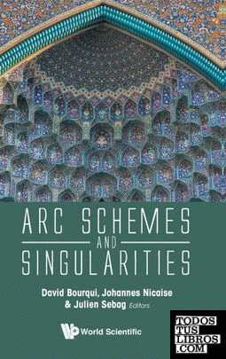 Arc Schemes and Singularities