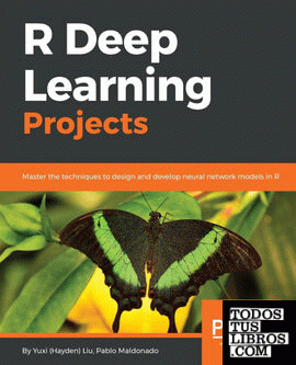R Deep Learning Projects
