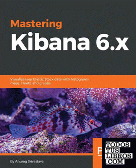 Mastering Kibana 6.x