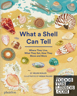 What a Shell Can Tell