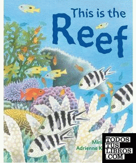 This is the Reef