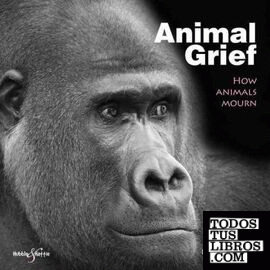 ANIMAL GRIEF
