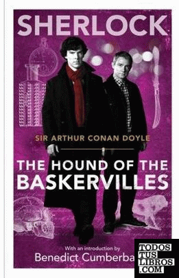 SHERLOCK: THE HOUND OF THE BASKERVILLES (TV)