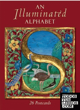 An Illuminated Alphabet : 26 Postcards