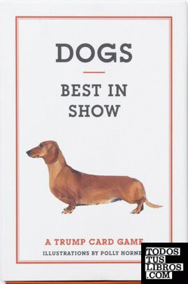 DOGS:BEST IN SHOW