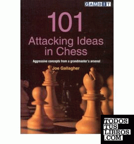 101 ATTACKING IDEAS IN CHESS
