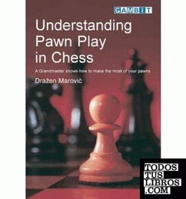 UNDERSTANDING PAWN PLAY IN CHESS