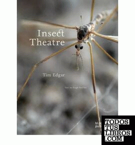 INSECT THEATRE