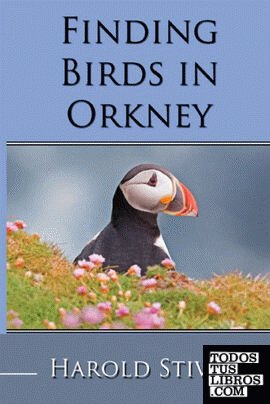 Finding Birds in Orkney