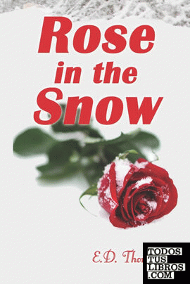 Rose in the Snow