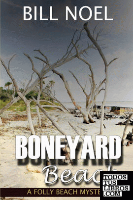 Boneyard Beach