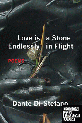 Love Is a Stone Endlessly in Flight