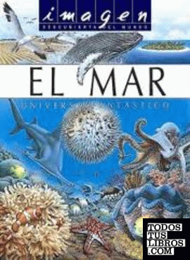 Mar, el + puzzle