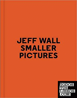 JEFF WALL SMALLER PICTURES