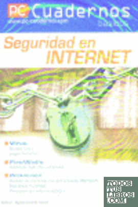Seguridad en internet
