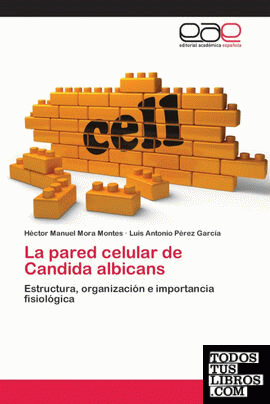 La pared celular de Candida albicans