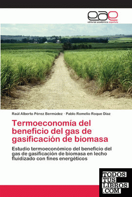 TERMOECONOMIA DEL BENEFICIO DEL GAS DE GASIFICACION DE BIOMASA