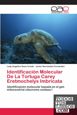 Identificación Molecular De La Tortuga Carey Eretmochelys Imbricata