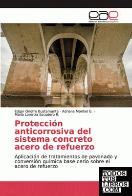 Protección anticorrosiva del sistema concreto acero de refuerzo