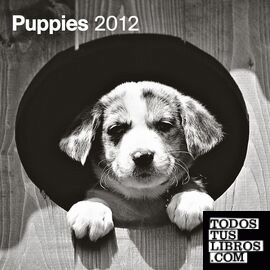 PUPPIES  CALEN 30X30    PHOTOGRAPHY/12