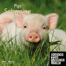 PIGS 2014 A&I