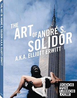 The art of Andre s.solidor