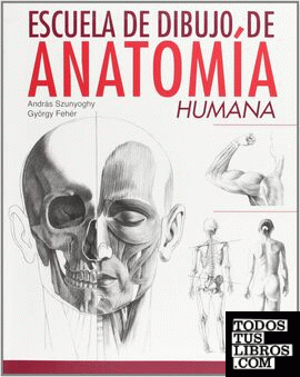 Escuela de dibujo anatomía humana
