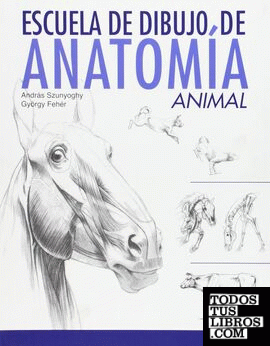 Escuela de dibujo anatomía animal