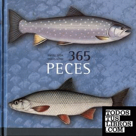365 peces