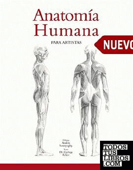 Anatomía humana para artistas