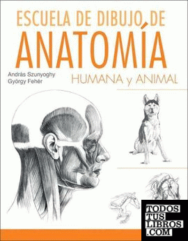 Escuela dibujo anatomia humana y animal