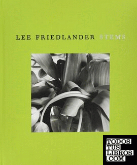 Lee Friedlander - Stems