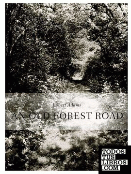 ROBERT ADAMS: AN OLD FOREST ROAD