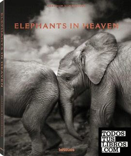 Joachim Schmeiser - Elephants in heaven