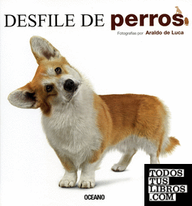 DESFILE DE PERROS