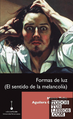 Formas de luz : (el sentido de la MXlancolía) / Marco Tulio Aguilera Garramuño.