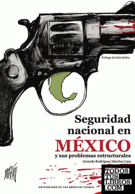 Seguridad nacional en México y sus problemas estructurales