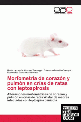 Morfometría de corazón y pulmón en crías de ratas con leptospirosis
