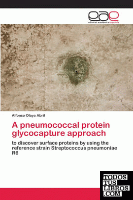 A pneumococcal protein glycocapture approach