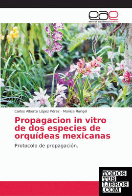 Propagacion in vitro de dos especies de orquídeas mexicanas